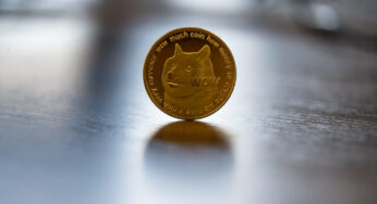 Dogecoin is Worth 12 Cents: The Next Bitcoin?